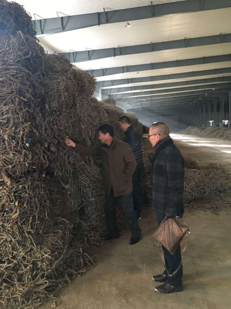 天山制藥未雨綢繆部署原材料收購(gòu)